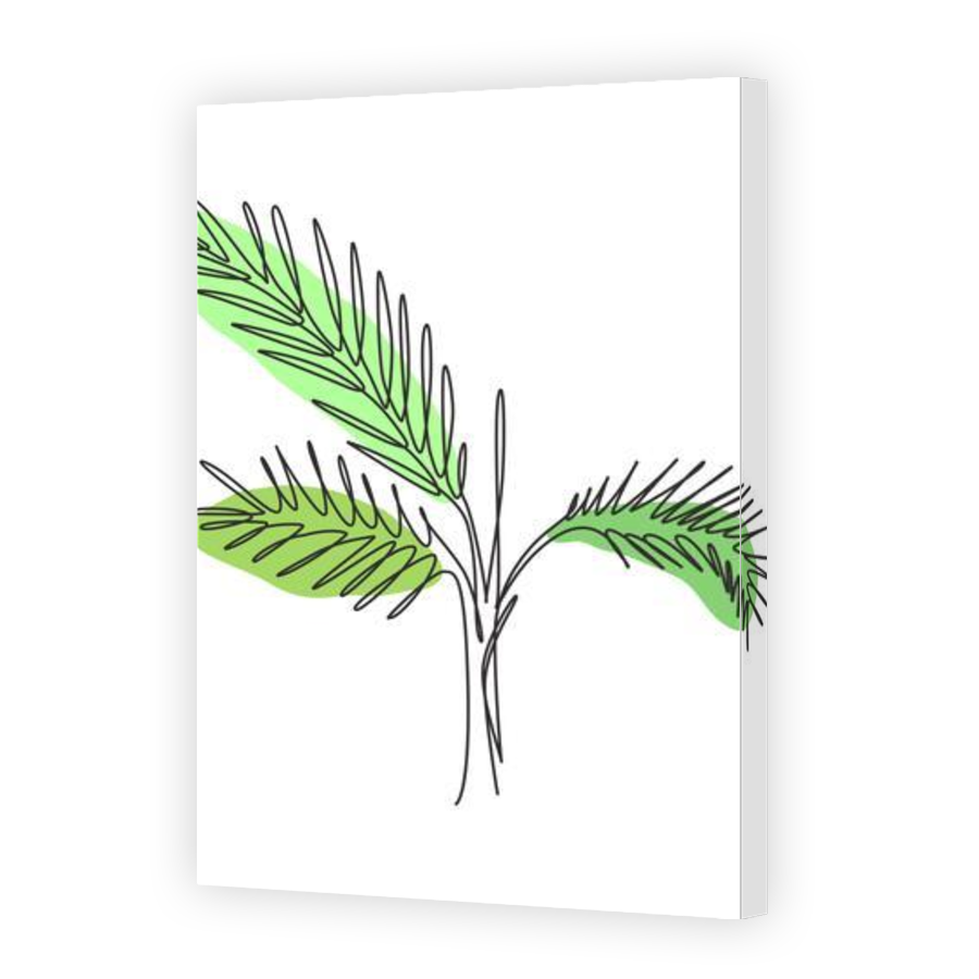 Thumbnail for Canvas - Gallery Canvas Wrap