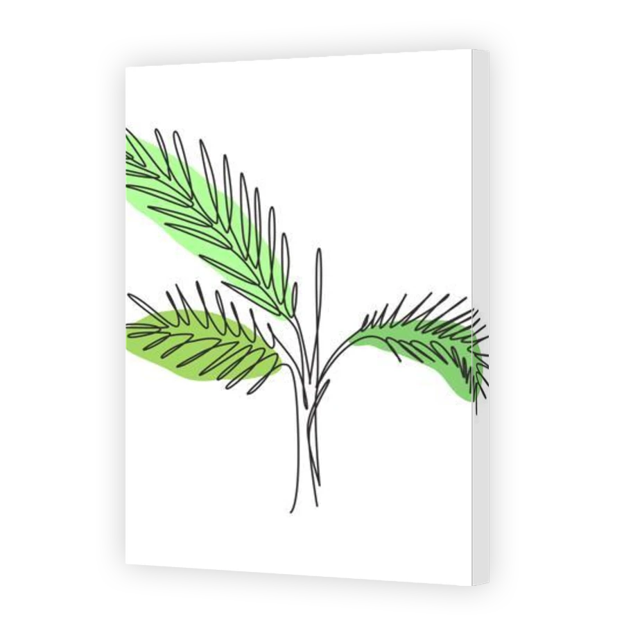 Thumbnail for Canvas - Gallery Canvas Wrap