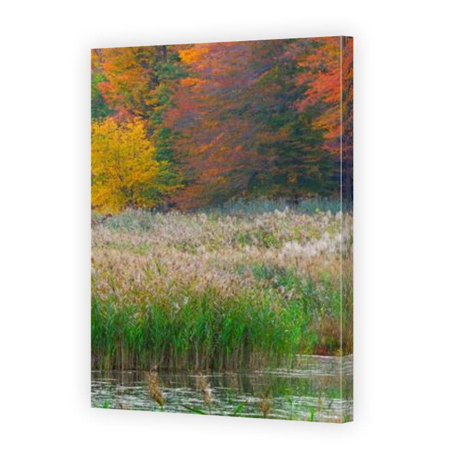 Thumbnail for Canvas - Gallery Canvas Wrap