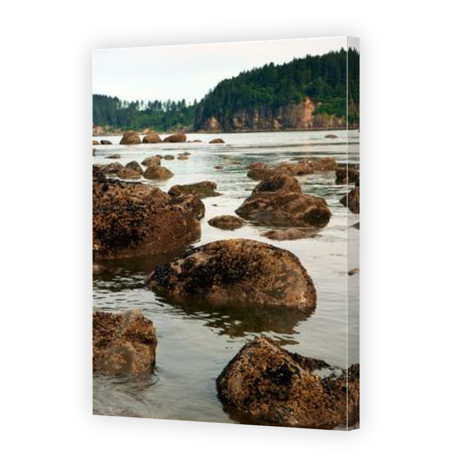 Thumbnail for Canvas - Gallery Canvas Wrap