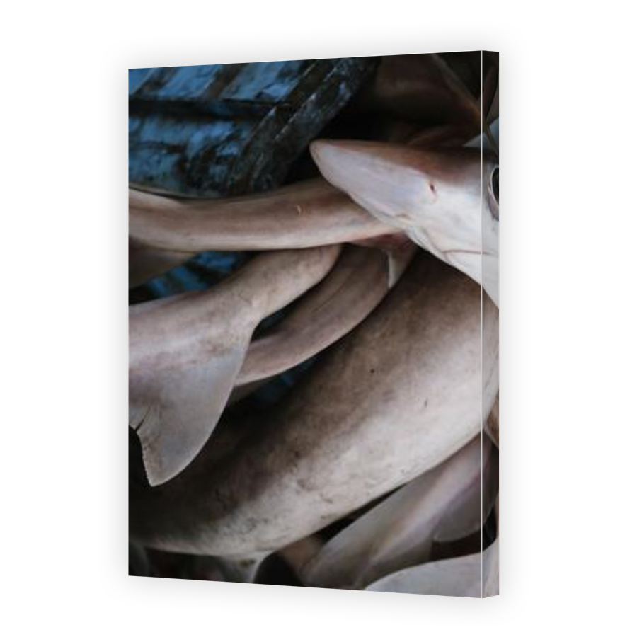 Thumbnail for Canvas - Gallery Canvas Wrap