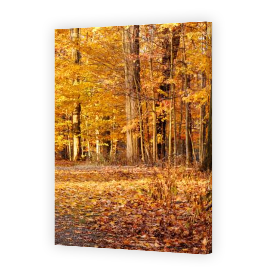 Thumbnail for Canvas - Gallery Canvas Wrap