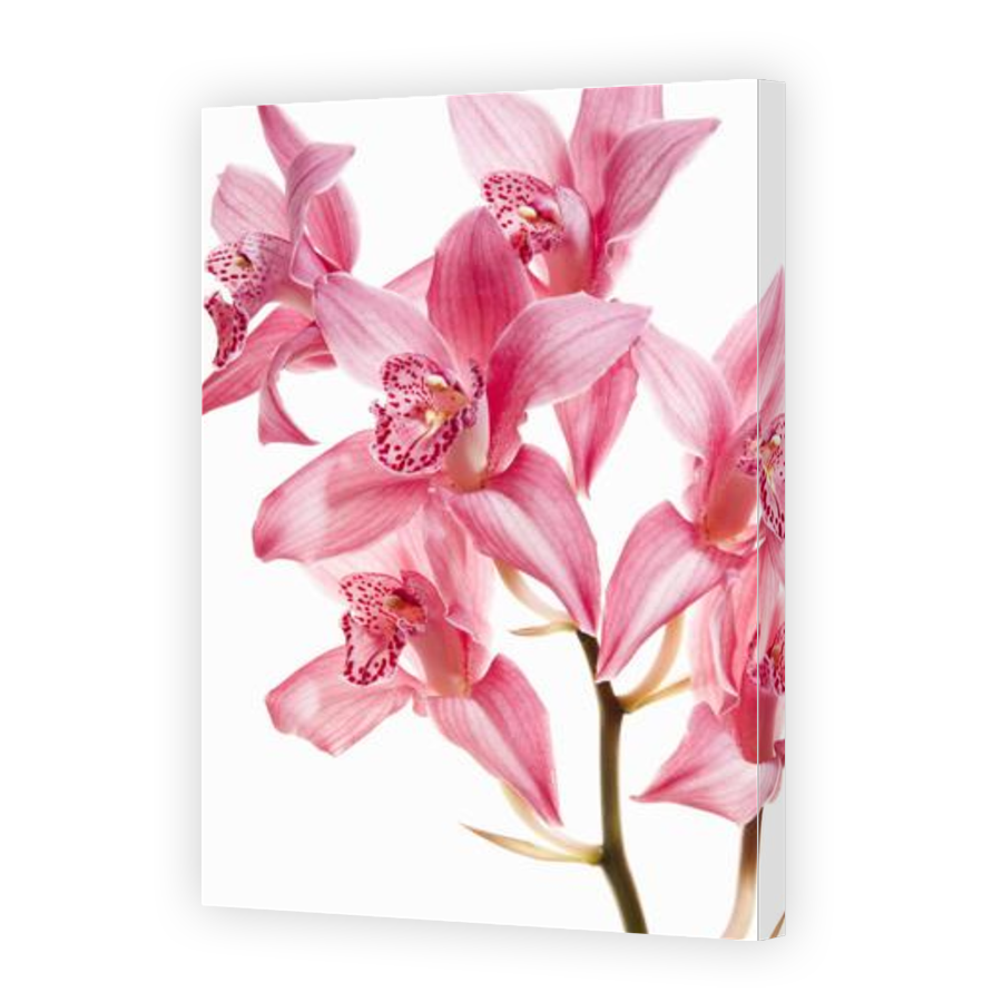 Thumbnail for Canvas - Gallery Canvas Wrap