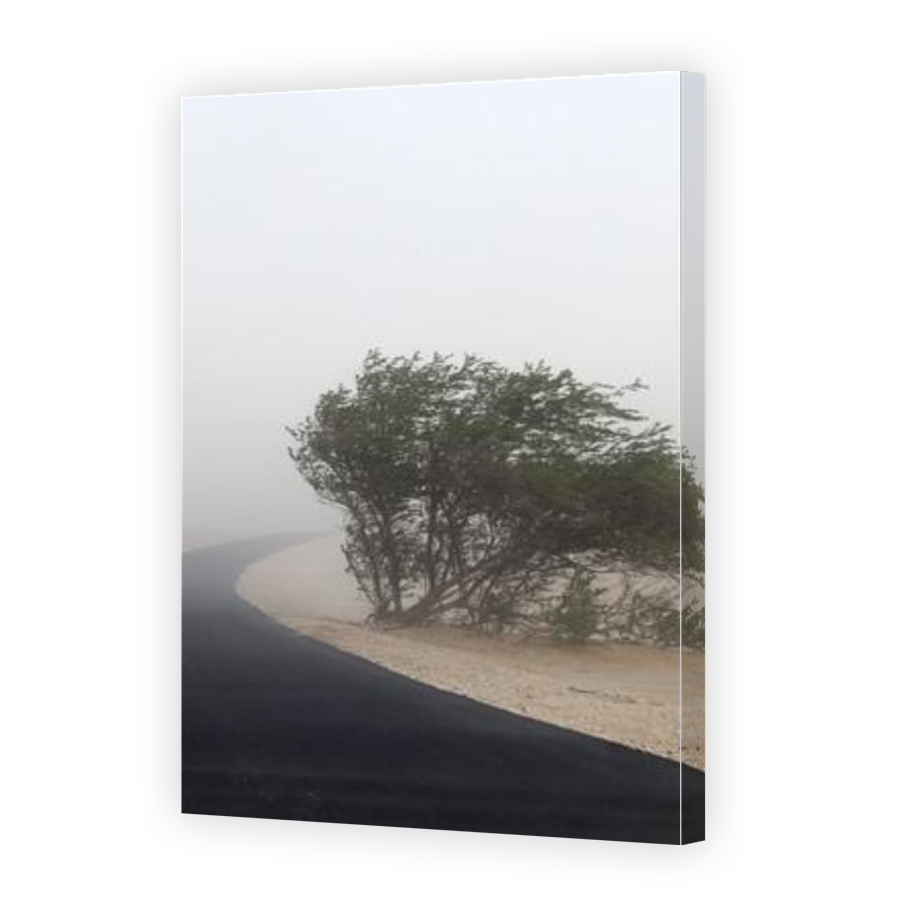 Thumbnail for Canvas - Gallery Canvas Wrap