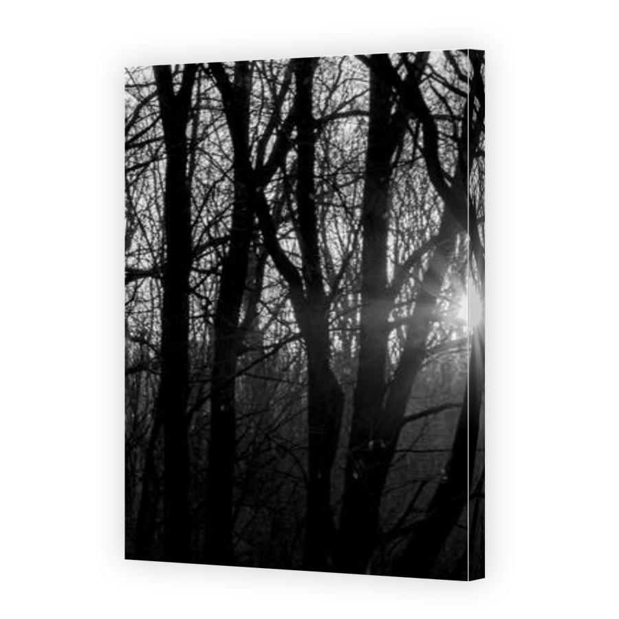 Thumbnail for Canvas - Gallery Canvas Wrap