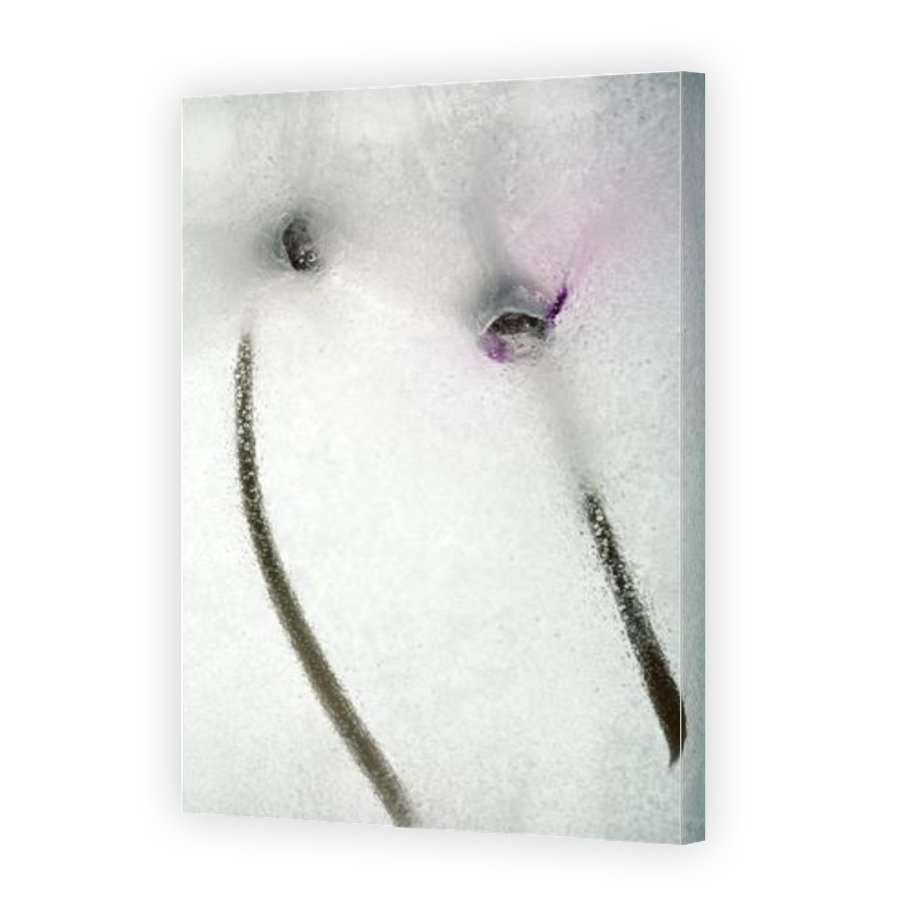 Thumbnail for Canvas - Gallery Canvas Wrap