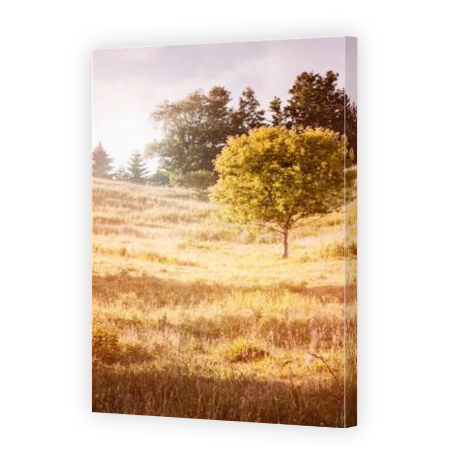 Thumbnail for Canvas - Gallery Canvas Wrap