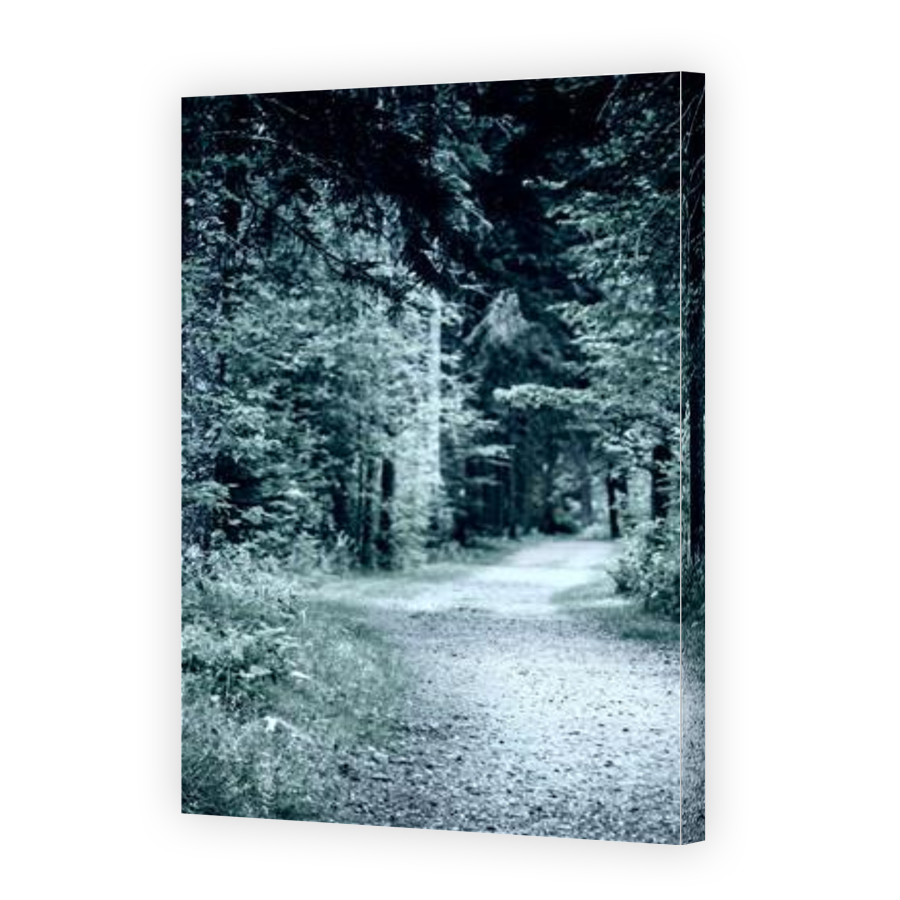 Thumbnail for Canvas - Gallery Canvas Wrap