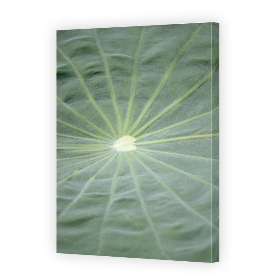 Thumbnail for Canvas - Gallery Canvas Wrap