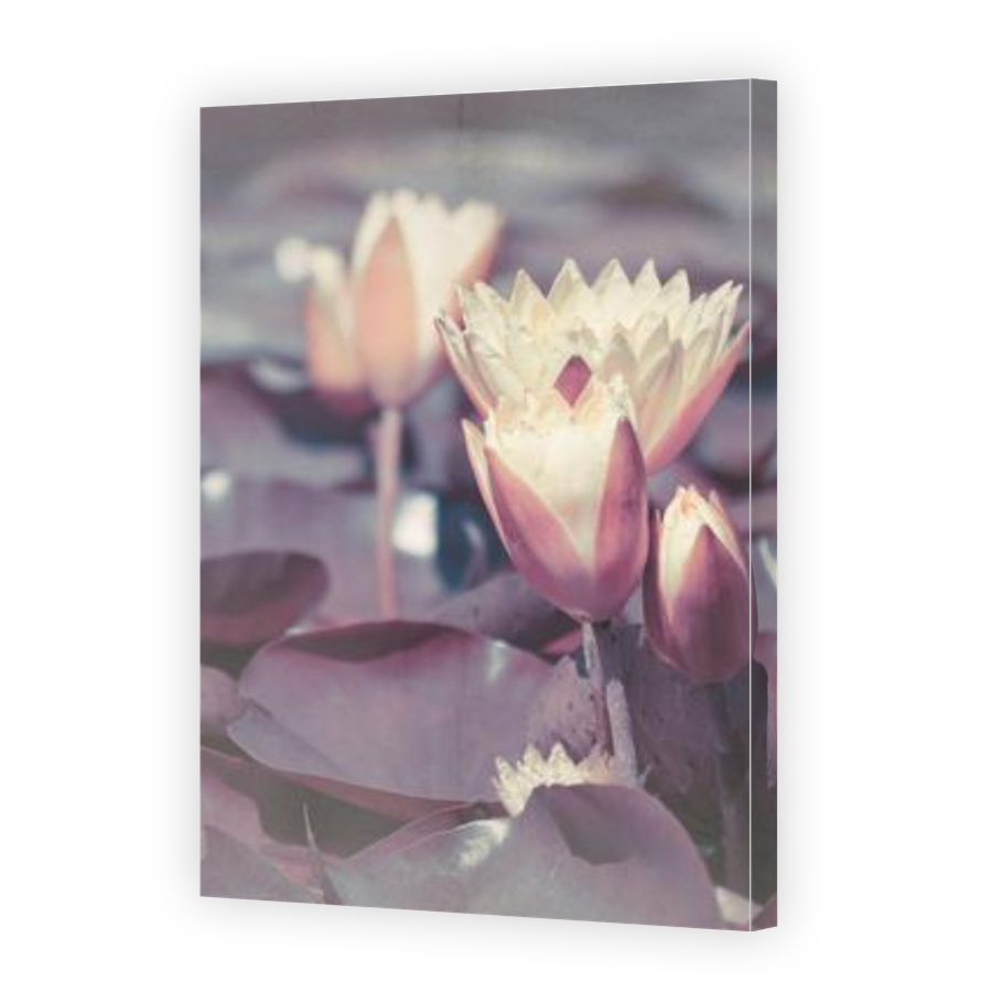 Thumbnail for Canvas - Gallery Canvas Wrap