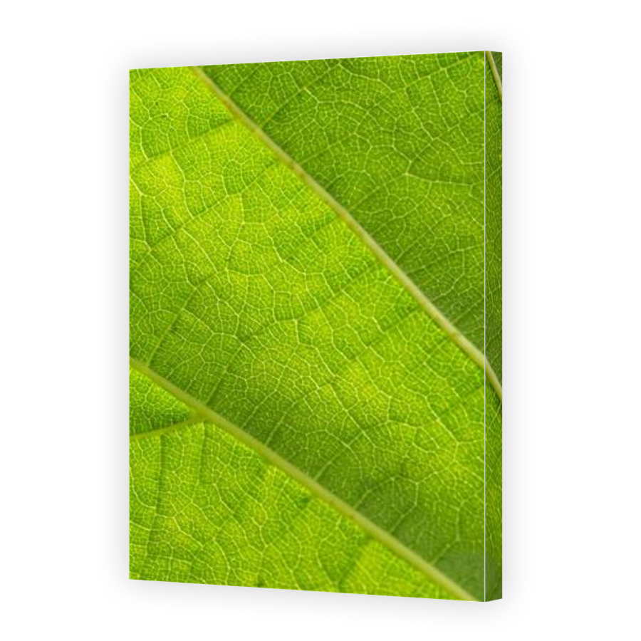 Thumbnail for Canvas - Gallery Canvas Wrap