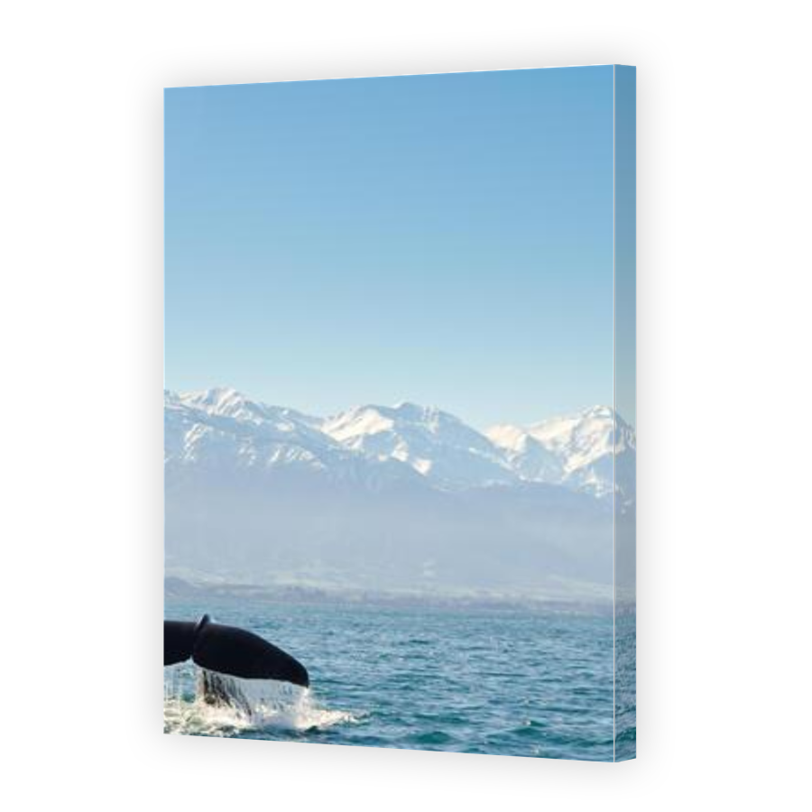 Thumbnail for Canvas - Gallery Canvas Wrap