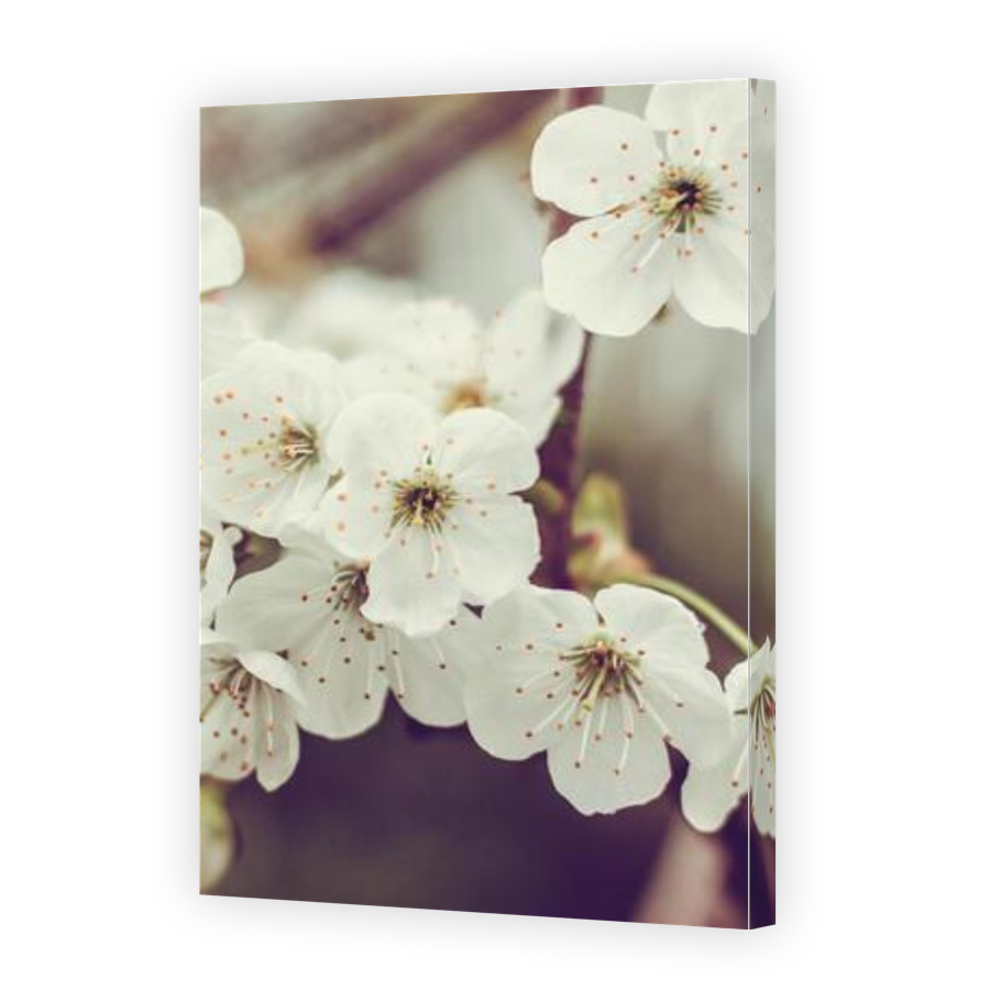Thumbnail for Canvas - Gallery Canvas Wrap