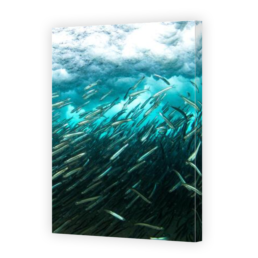Thumbnail for Canvas - Gallery Canvas Wrap