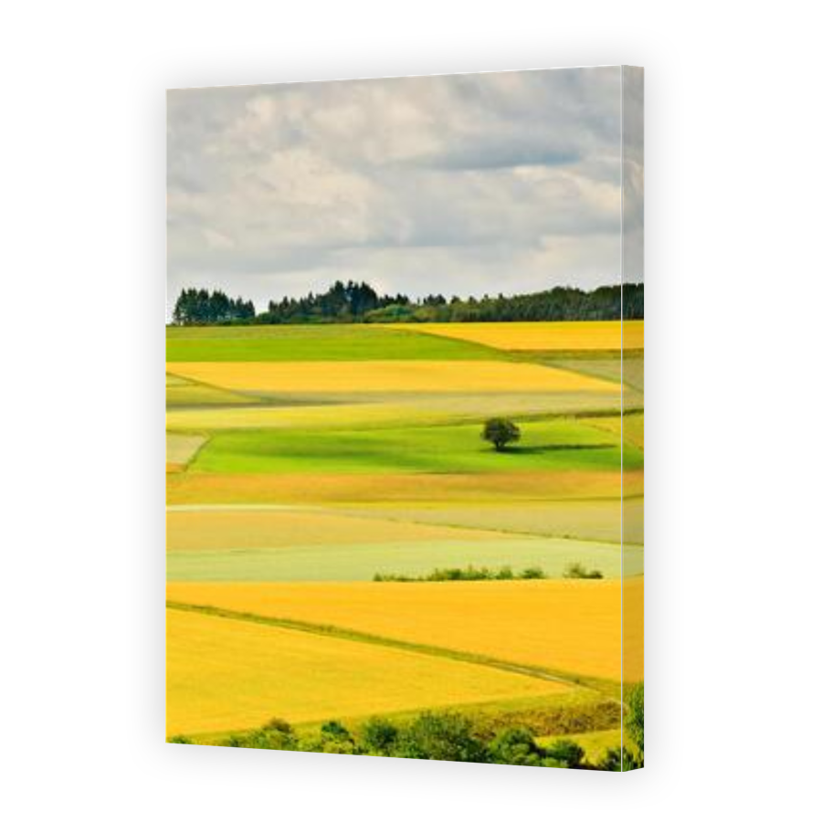 Thumbnail for Canvas - Gallery Canvas Wrap