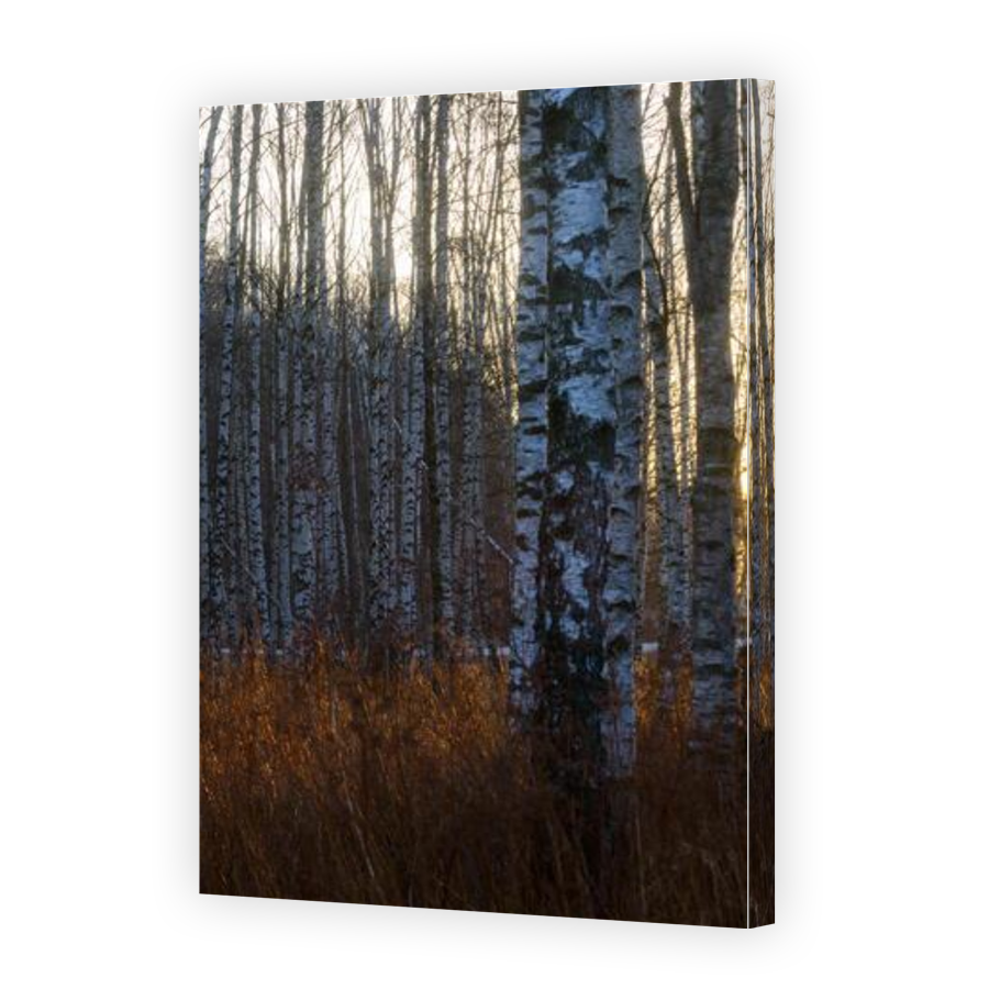 Thumbnail for Canvas - Gallery Canvas Wrap
