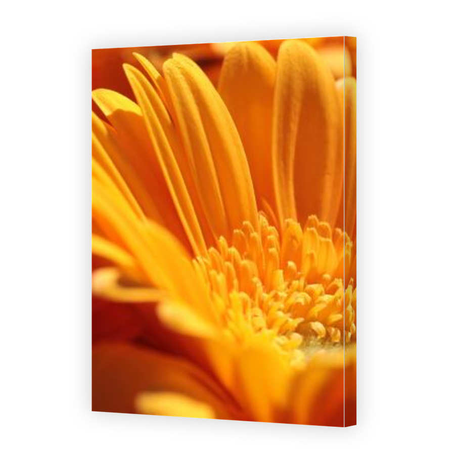 Thumbnail for Canvas - Gallery Canvas Wrap