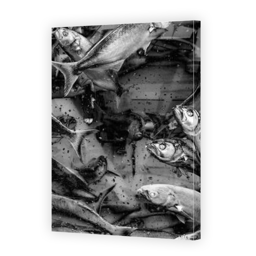 Thumbnail for Canvas - Gallery Canvas Wrap