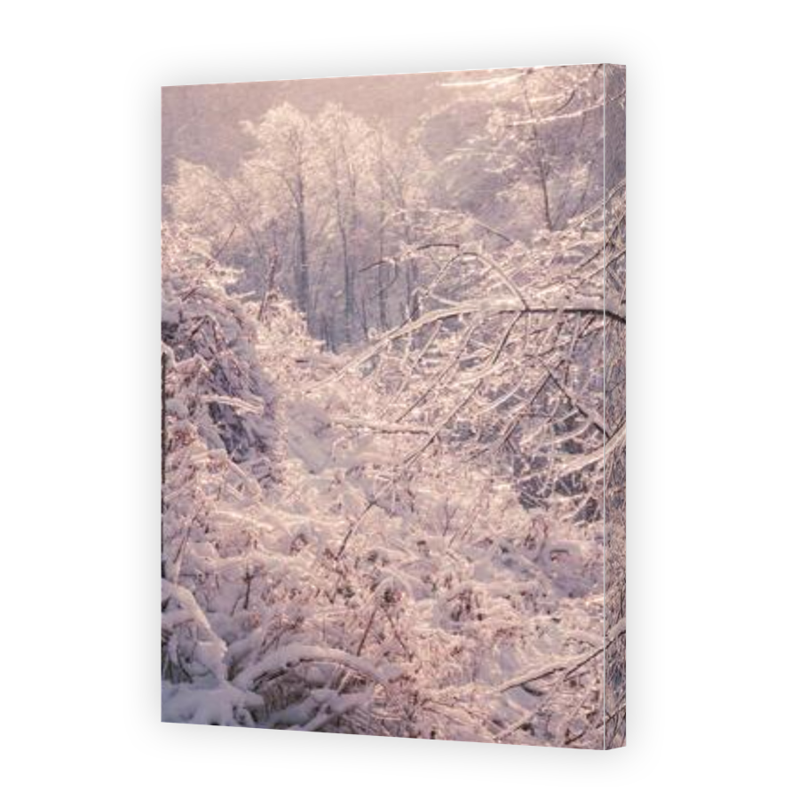 Thumbnail for Canvas - Gallery Canvas Wrap