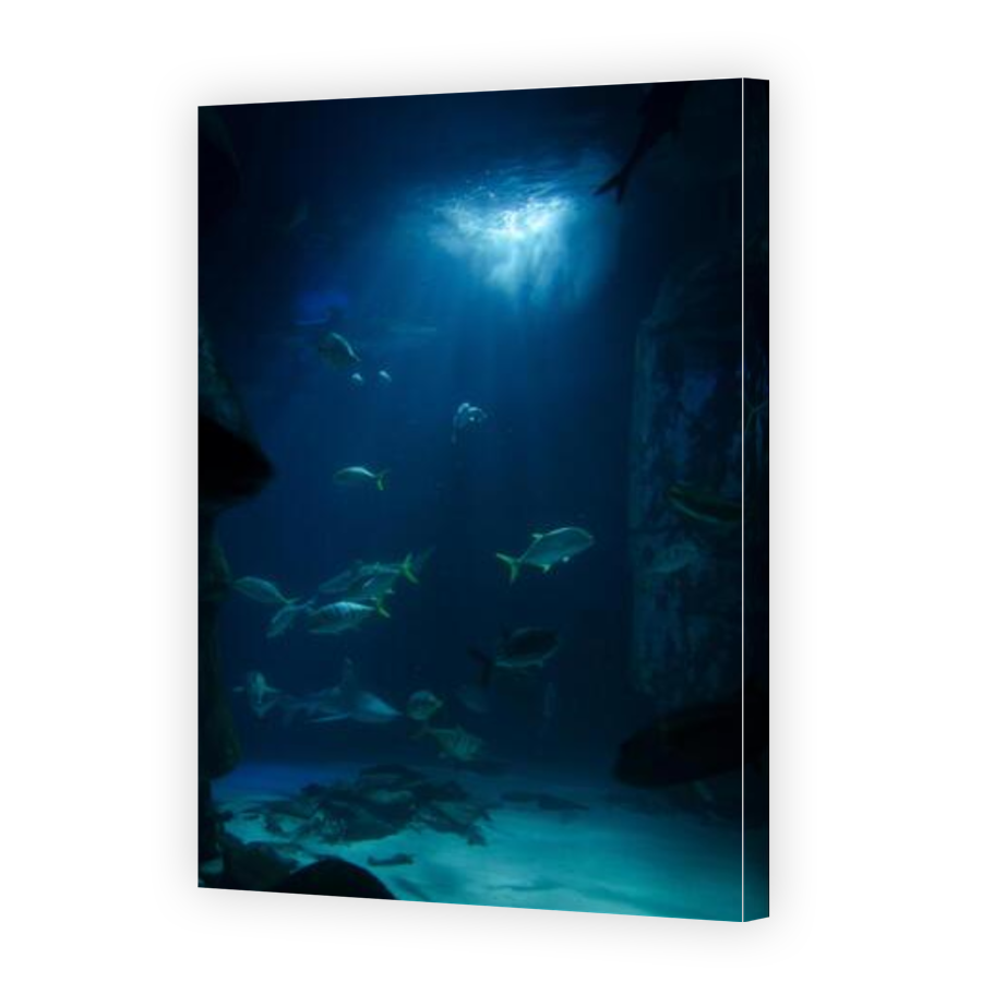 Thumbnail for Canvas - Gallery Canvas Wrap