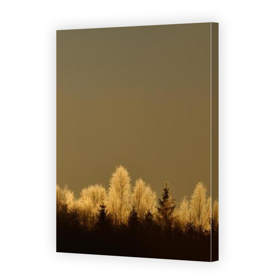 Thumbnail for Canvas - Gallery Canvas Wrap