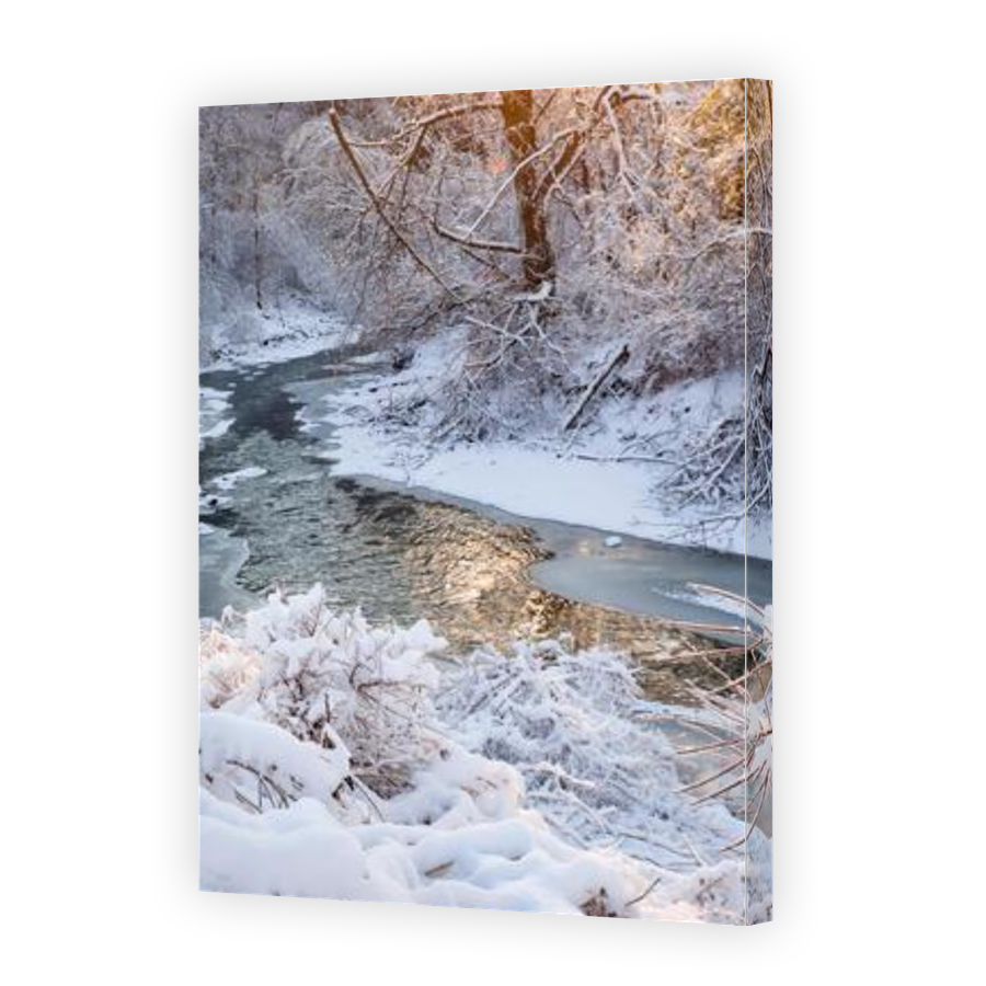 Thumbnail for Canvas - Gallery Canvas Wrap