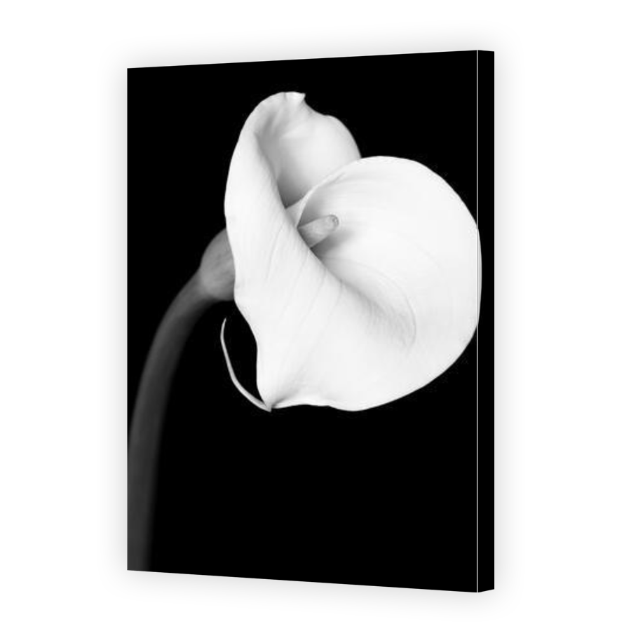 Thumbnail for Canvas - Gallery Canvas Wrap