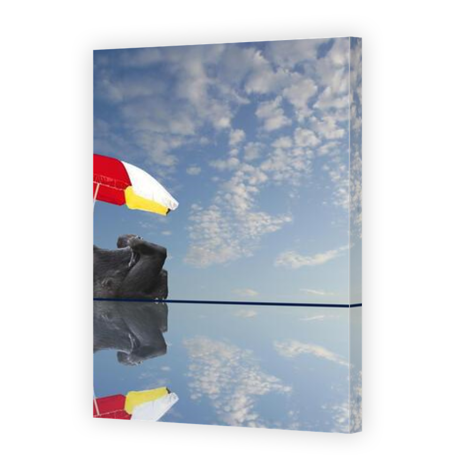 Thumbnail for Canvas - Gallery Canvas Wrap