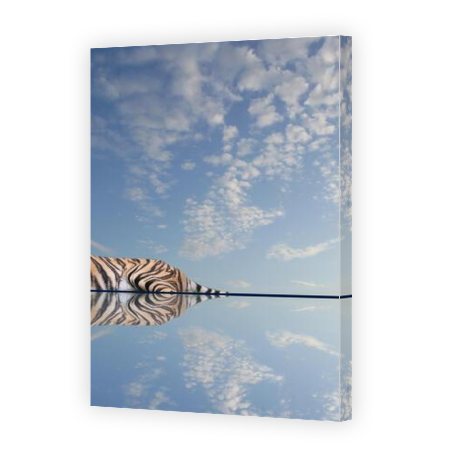 Thumbnail for Canvas - Gallery Canvas Wrap