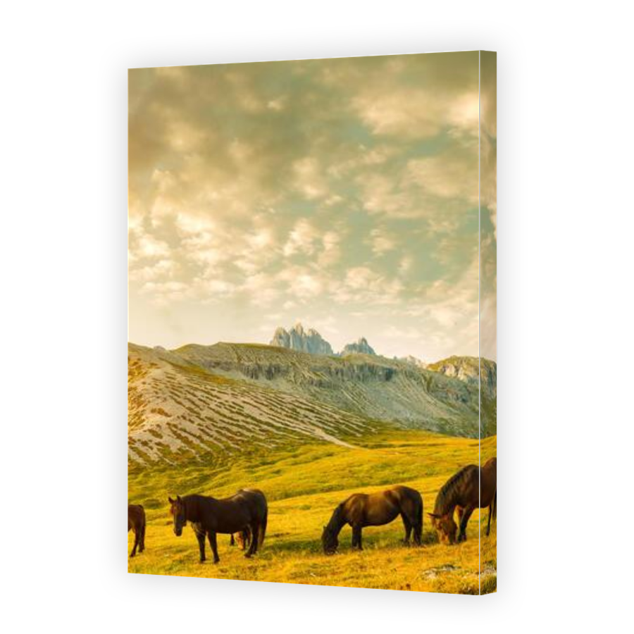 Thumbnail for Canvas - Gallery Canvas Wrap