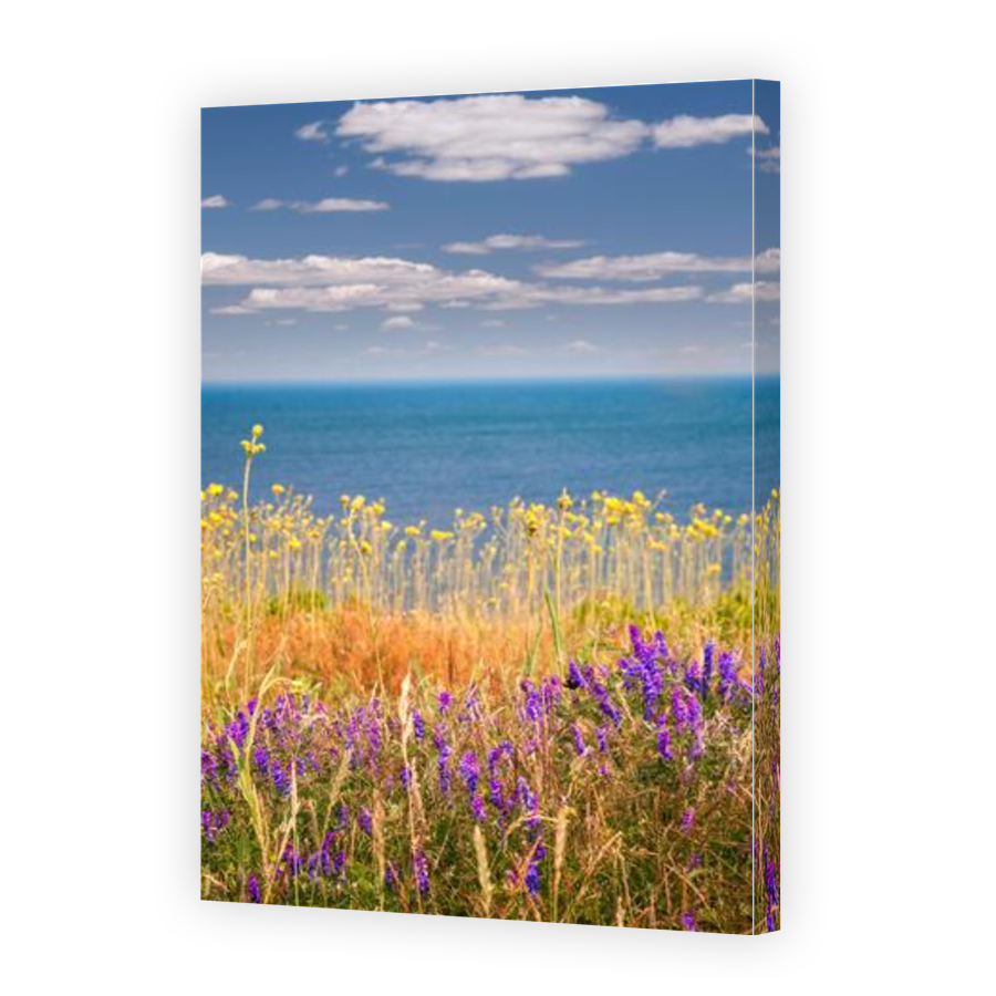 Thumbnail for Canvas - Gallery Canvas Wrap