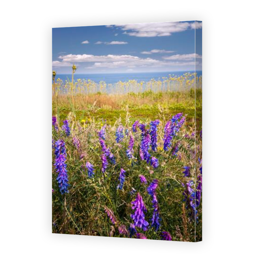 Thumbnail for Canvas - Gallery Canvas Wrap