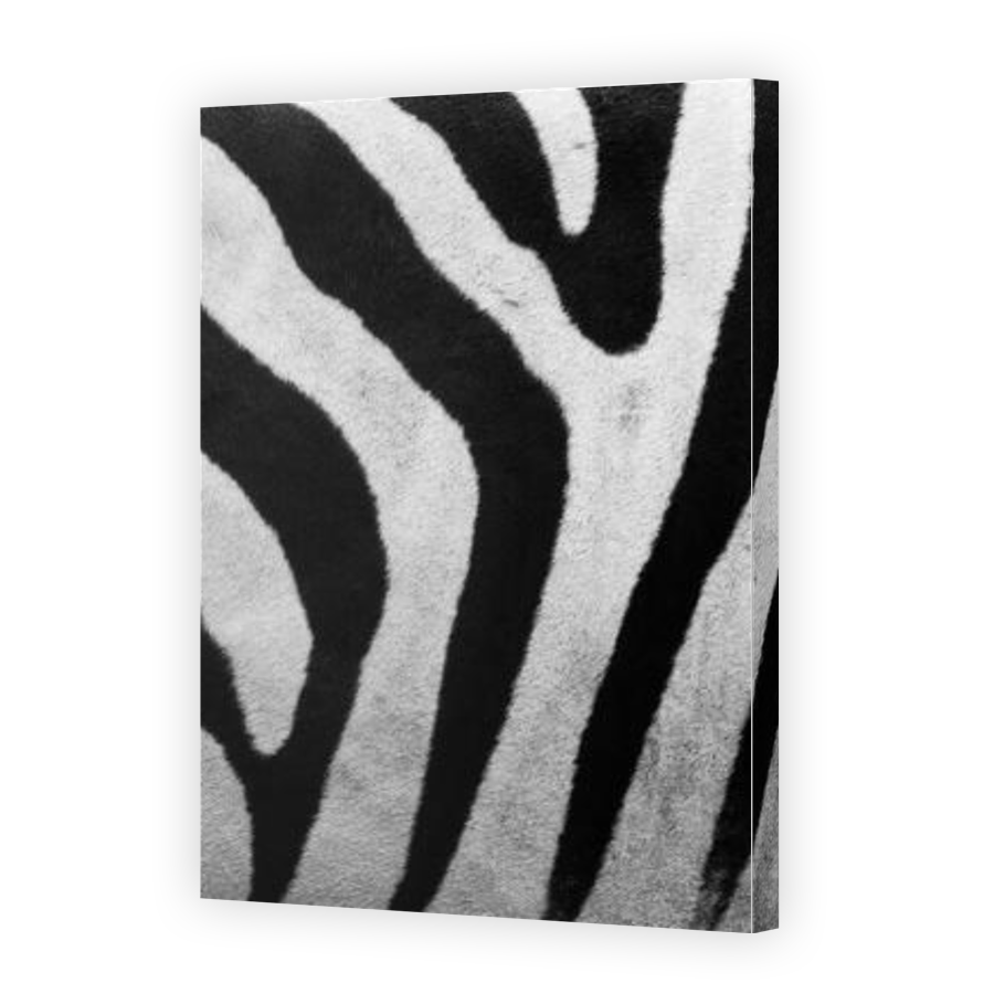 Thumbnail for Canvas - Gallery Canvas Wrap