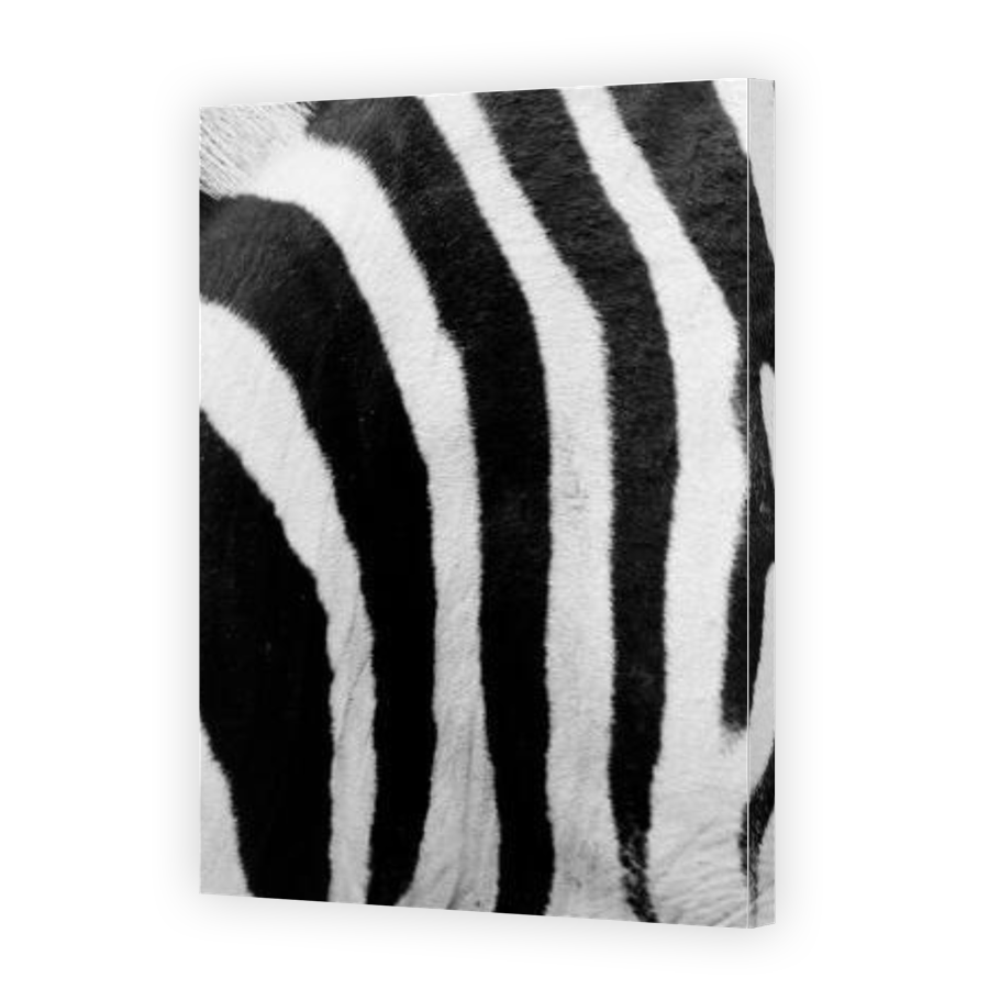 Thumbnail for Canvas - Gallery Canvas Wrap