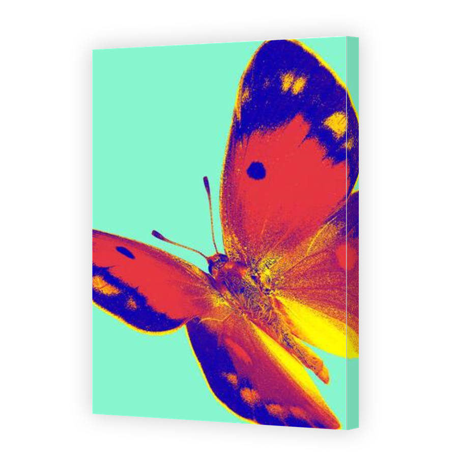 Thumbnail for Canvas - Gallery Canvas Wrap