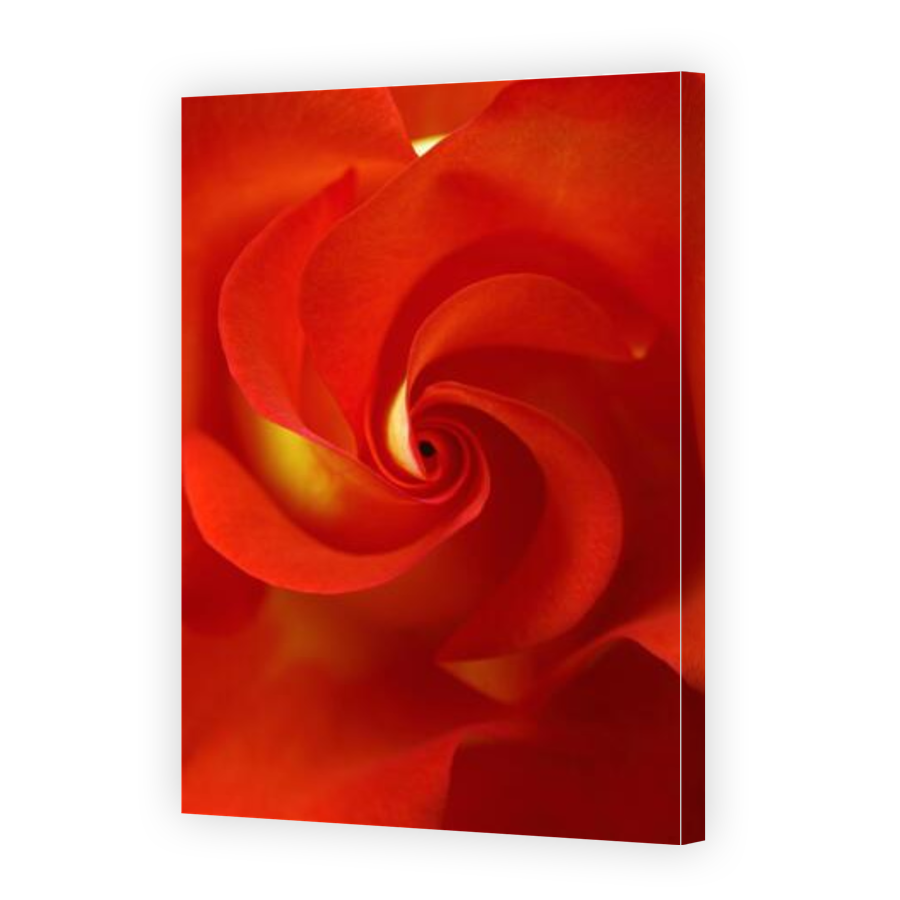 Thumbnail for Canvas - Gallery Canvas Wrap