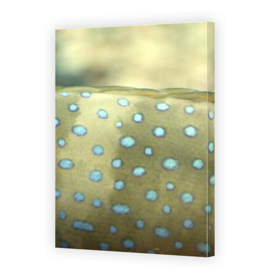 Thumbnail for Canvas - Gallery Canvas Wrap