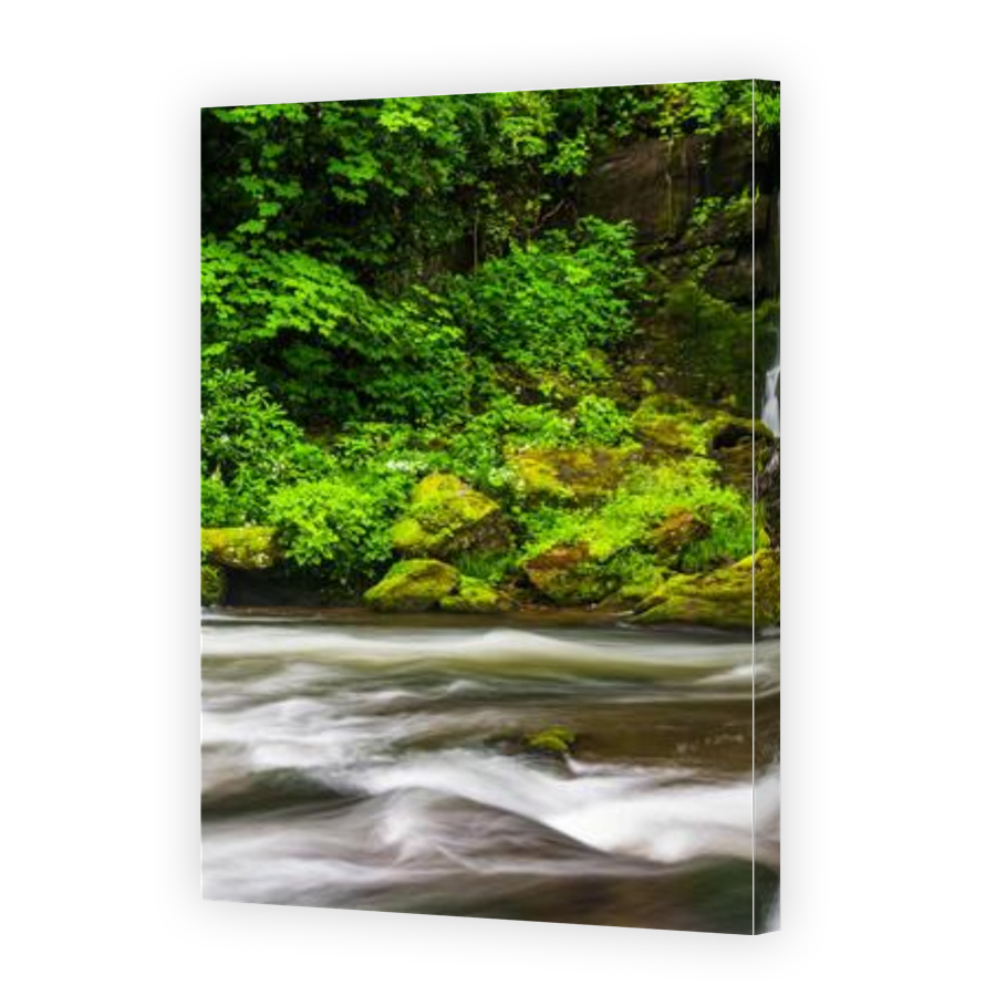 Thumbnail for Canvas - Gallery Canvas Wrap