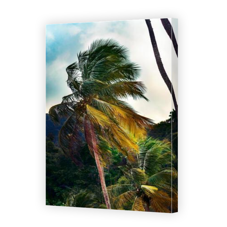 Thumbnail for Canvas - Gallery Canvas Wrap