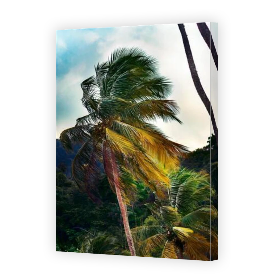 Thumbnail for Canvas - Gallery Canvas Wrap