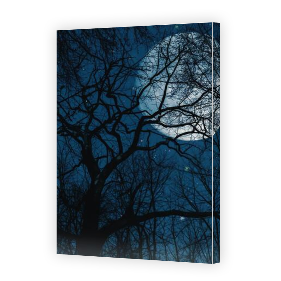 Thumbnail for Canvas - Gallery Canvas Wrap