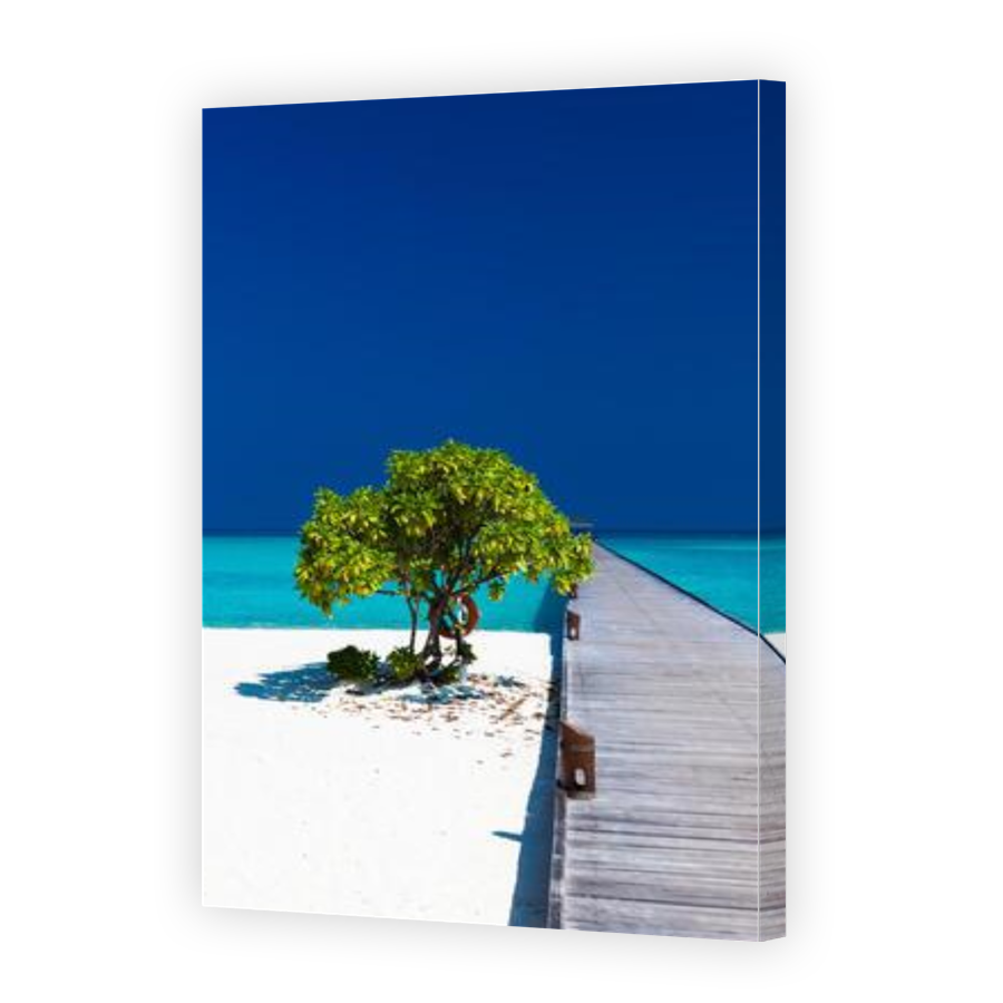 Thumbnail for Canvas - Gallery Canvas Wrap