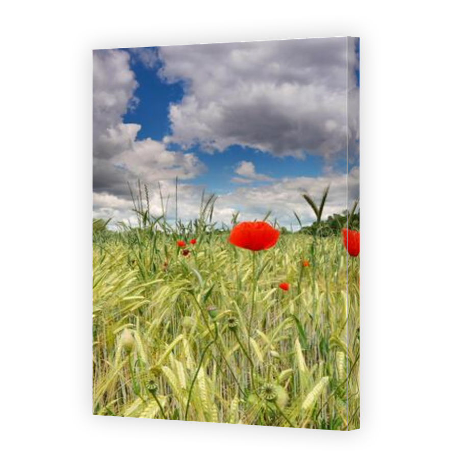 Thumbnail for Canvas - Gallery Canvas Wrap