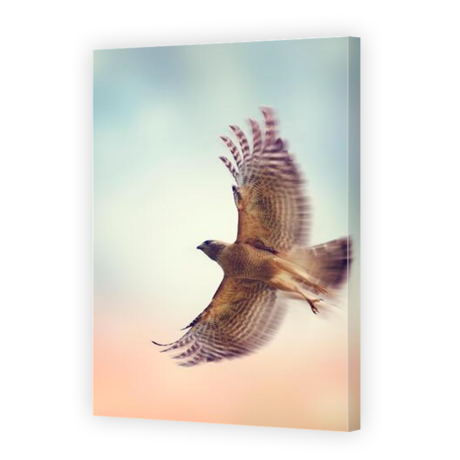 Thumbnail for Canvas - Gallery Canvas Wrap
