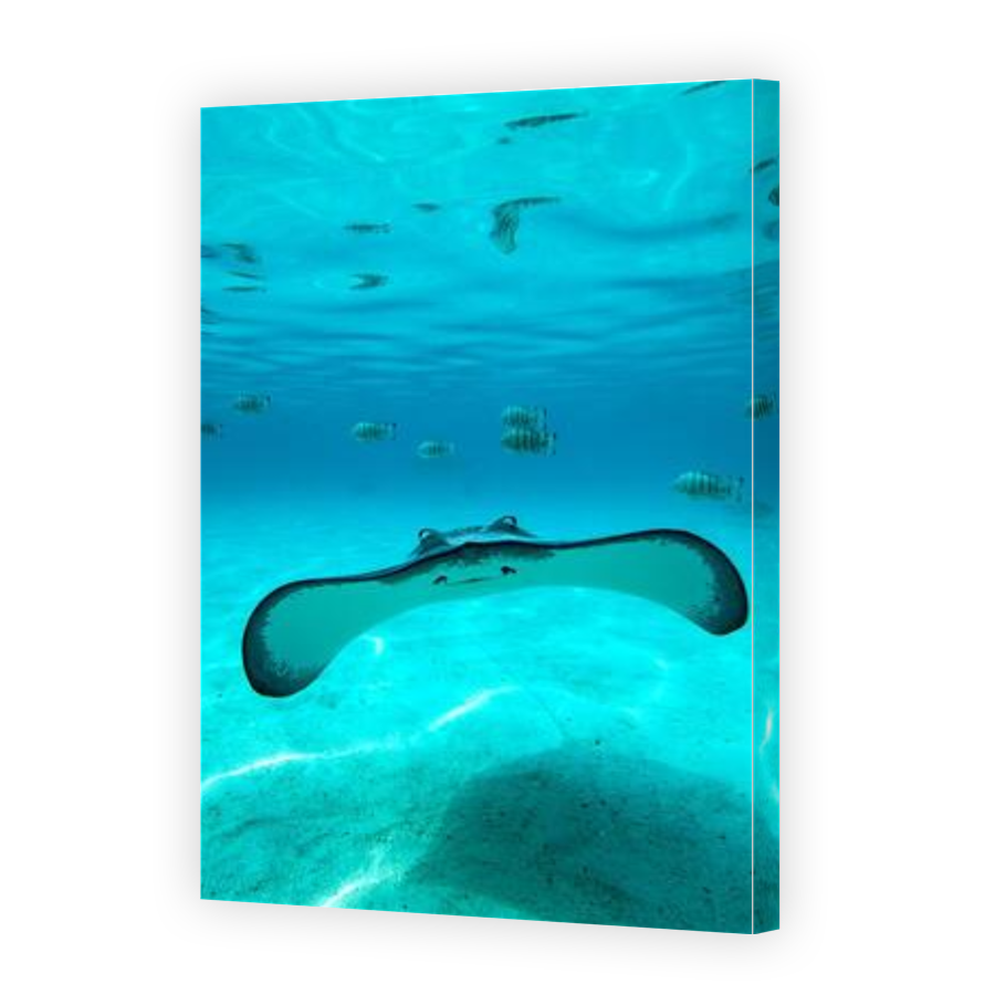 Thumbnail for Canvas - Gallery Canvas Wrap