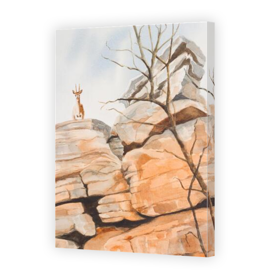 Thumbnail for Canvas - Gallery Canvas Wrap