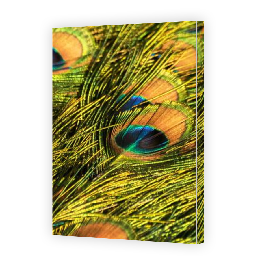 Thumbnail for Canvas - Gallery Canvas Wrap