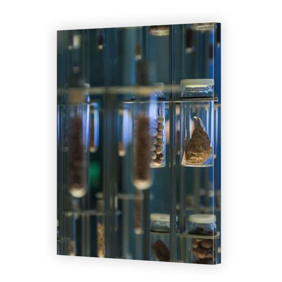 Thumbnail for Canvas - Gallery Canvas Wrap