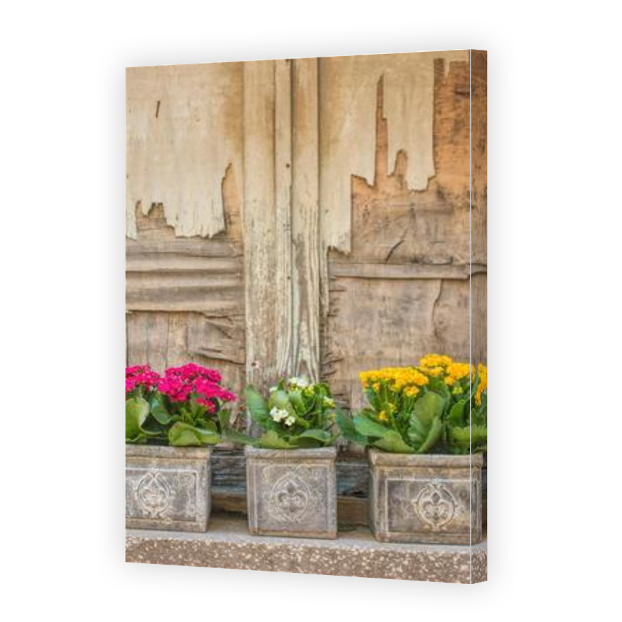 Thumbnail for Canvas - Gallery Canvas Wrap