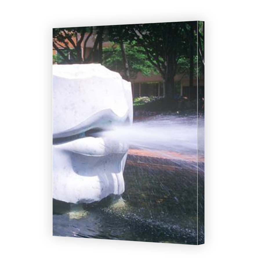 Thumbnail for Canvas - Gallery Canvas Wrap
